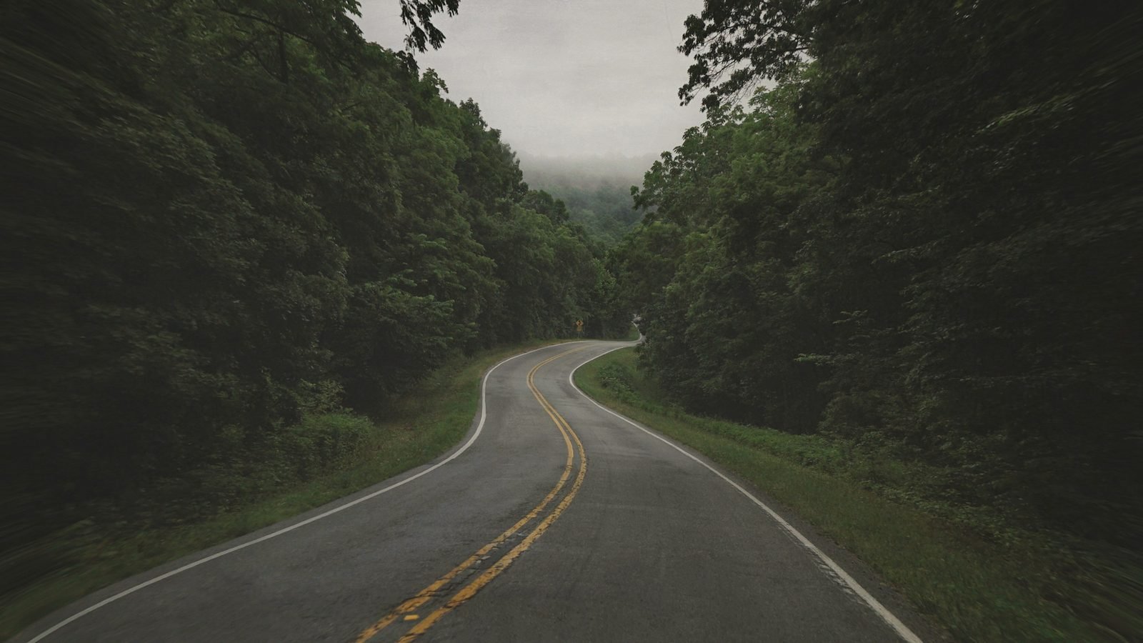 A two-lane road curving through thick green Ozark forest under low cloud
